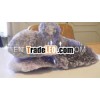 RMY14 Persisch Blau Salz, Blau Salz Lampen, Rosa Himalaya Salz, Speisesalz, Steinsalz, Salz Lampe,  