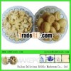 best quality canned champignon mushroom whole and slice