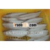 Precooked Mackerel Fillets-canned mackerel