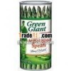 Green Giant Whole Spear Asparagus,  15 oz can