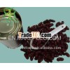 Red Kidney Beans in Tins