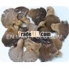 Grey oyster mushroom in brine