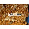 NAMEKO MARINATED