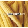 Hot sale on canned baby corn