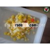 Canned cocktail fruits salad with Quality service D.W250g