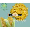 canned sweet corn 340g