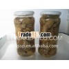 oyster mushroom in brine