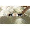 Skimmed Milk Powder