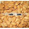 natrual almond from china