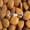 American type Almond