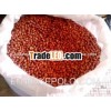 Indian 40/50 Red Skin Peanuts kernel