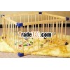 Baby/Children Playpen