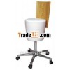 E24 Ultra Comfortable Aesthetic Stool with Back support