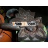 wooden spice box