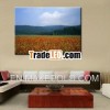 2013 High Quality Cheap Flower Design Printing Canvas Print