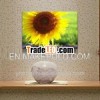 sunflower canvas wall art