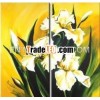 Handpainted decorative impressionist flower oil painting pictures