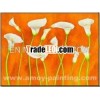 Modern Flower Oil Painting, Modern Landscape-001