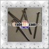 hot-dipped galvanized common nail