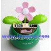 Solar plant, swing flower