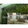 Green wall
