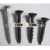 Drywall screws