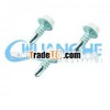 Taiwan carbon steel self drilling screws