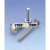 Stainless Steel Carriage Bolt