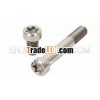 Galvanized Titanium bolts