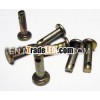 Clevis Pin & Yoke