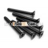 stainless steel thread forming screw
