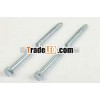 Stainless steel DIN571 Lag Screw
