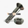 bolt nut