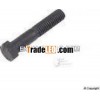 Ford cylinder head bolt