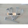 Decorative Nail