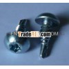 self drilling torx head screw