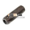 Hexagon Socket set screw with cup point