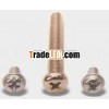 Brass screws