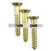 brass screw with slot