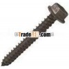 Stainless Steel Self Tapping Screw