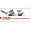 Stainless Steel Screws factory