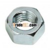 Standard Steel Hex Nut