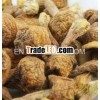 Agaricus Blazei extract