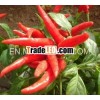 High quality natural Capsaicin