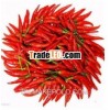 High quality 90%&50% natural Capsaicin