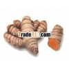 Pure Turmeric Oil (In Extract From)