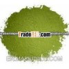 Moringa Powder Supplier