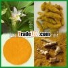 Curcumin Extract Liquid