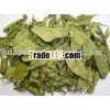 Dry stevia Leaves