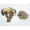 Dried Mushroom Extract Powder